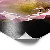 Impression Photo Fleur de nuit et abeille (Coin)