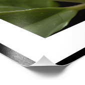 Impression Photo Fleur de pâte violette, (Coin)