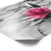 Impression Photo Fleur de pavé rose (Coin)