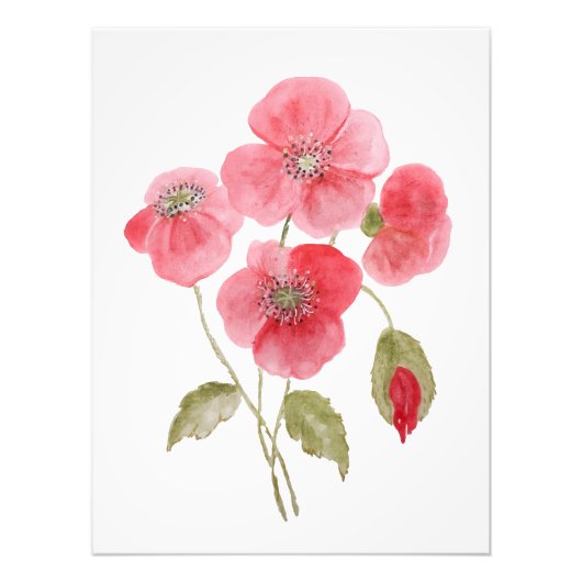 Impression Photo Fleur de pavot à l'aquarelle (Devant)