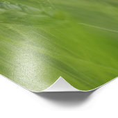 Impression Photo Fleur de pavot rouge parmi les cultures de blé, To (Coin)