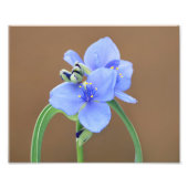 Impression Photo Fleur de Pétrole (Devant)