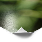 Impression Photo Fleur de pissenlit blanc sur herbe verte (Coin)