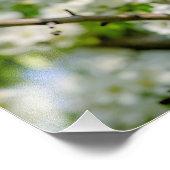 Impression Photo Fleur de pomme de crabe (Coin)