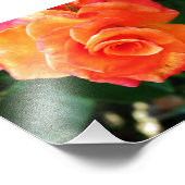 Impression Photo Fleur de rose orange (Coin)