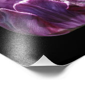 Impression Photo Fleur de tulipe violette 8x10 (Coin)