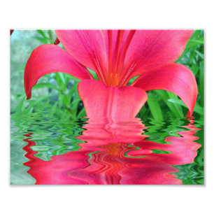 Impression Photo Fleur de vie