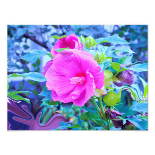 Impression Photo Fleur d'Hibiscus Rose Élégant avec Feuillage Aqua