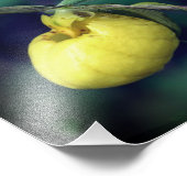 Impression Photo Fleur d'orchidée à chlipper jaune sauvage 8x10 (Coin)