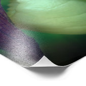 Impression Photo Fleur d'orchidée blanche unique 8x8 (Coin)