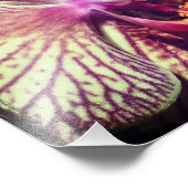 Impression Photo Fleur d'orchidée violette rayée Gros plan 8x10 (Coin)