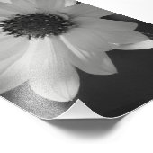 Impression Photo Fleur en B/W (Coin)