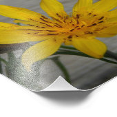 Impression Photo Fleur étoile jaune (Coin)