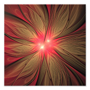 Impression Photo Fleur fractale de fansy rouge