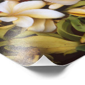Impression Photo Fleur Frangipani Imprimer (Coin)