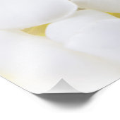 Impression Photo Fleur Frangipani Plumeria blanche Fleurs florales (Coin)