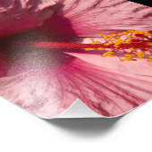 Impression Photo Fleur Hibiscus rose Macro (Coin)