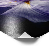 Impression Photo Fleur Iris japonaise intense Fermer 8x10 (Coin)