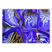 Impression Photo Fleur Iris Violet (Devant)