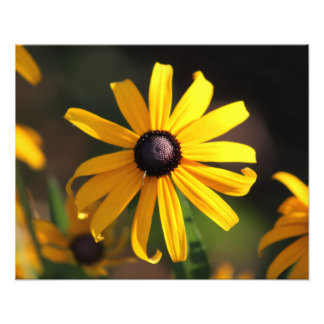 Impression Photo fleur jaune