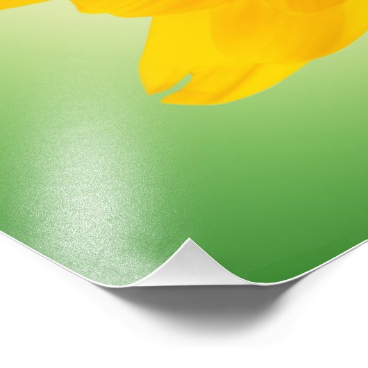 Impression Photo Fleur jaune (Coin)