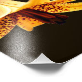 Impression Photo Fleur Lys canadienne tachetée sauvage 8x10 (Coin)