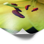 Impression Photo Fleur Lys Jaune près 8x10 (Coin)