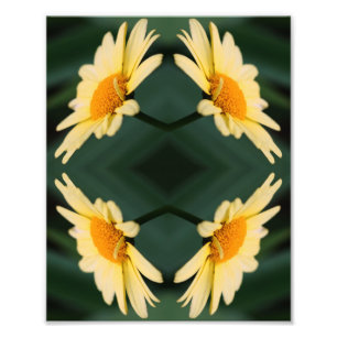 Impression Photo Fleur marguerite jaune Fermer miroir Abstrait 8x10