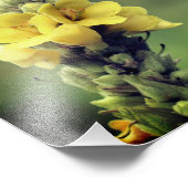 Impression Photo Fleur Mullein Jaune Fluide 8x10 (Coin)