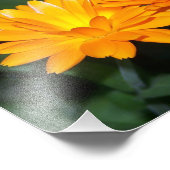 Impression Photo Fleur orange #2204 (Coin)