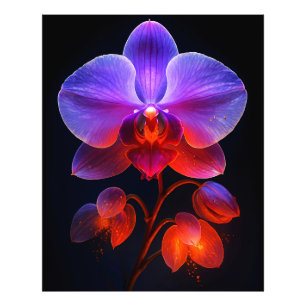 Impression Photo Fleur orchidée dans la lumière
