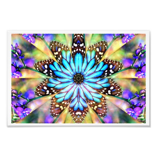 Impression Photo Fleur papillon Abstraite (Devant)