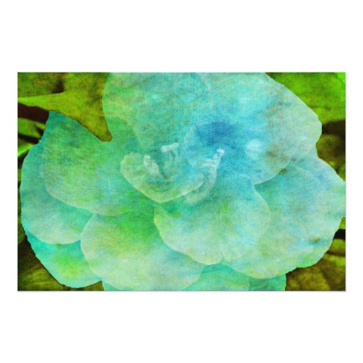 Impression Photo Fleur peinte par Shirley Taylor (Devant)
