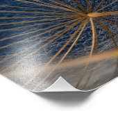 Impression Photo Fleur, pissenlit, (Coin)