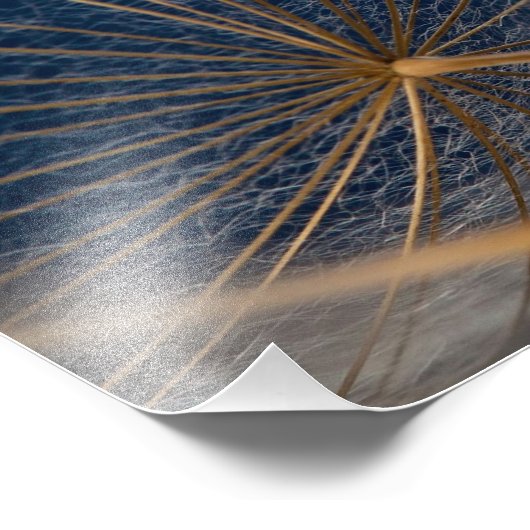 Impression Photo Fleur, pissenlit, (Coin)