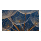 Impression Photo Fleur, pissenlit, (Devant)