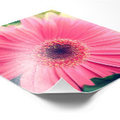 Impression Photo Fleur rose (Coin)