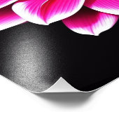 Impression Photo Fleur rose (Coin)