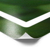 Impression Photo Fleur rose de la nature (Coin)