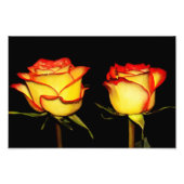 Impression Photo Fleur rose double rouge et jaune (Devant)