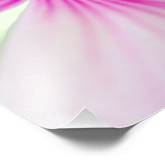 Impression Photo Fleur rose minuscule (Coin)