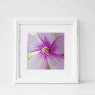 Impression Photo Fleur rose minuscule