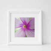 Impression Photo Fleur rose minuscule