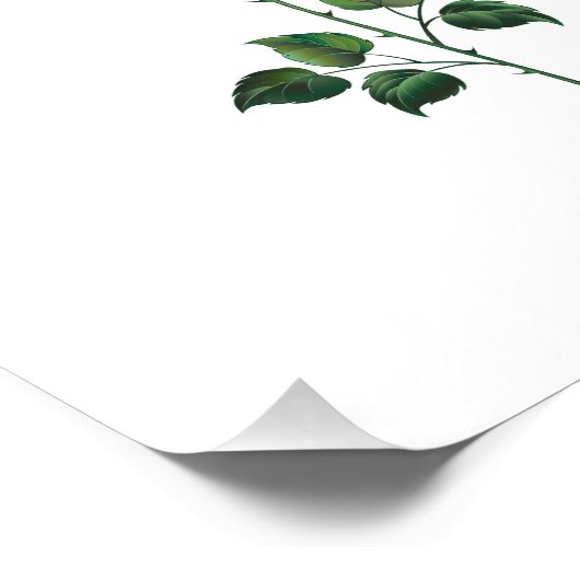 Impression Photo Fleur rose noire (Coin)