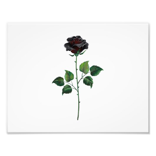 Impression Photo Fleur rose noire (Devant)