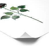 Impression Photo Fleur rose noire (Coin)