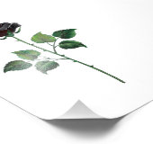 Impression Photo Fleur rose noire (Coin)