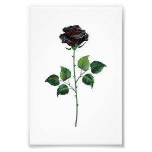 Impression Photo Fleur rose noire