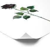 Impression Photo Fleur rose noire (Coin)