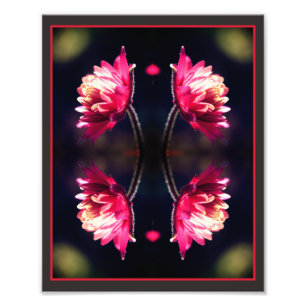 Impression Photo Fleur rouge dans un miroir de lumière du soleil Ab
